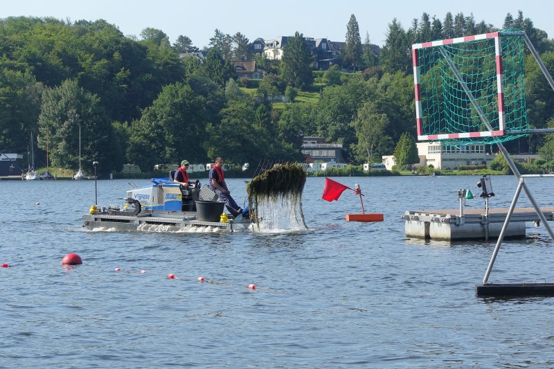 Allgrounder auf dem Baldeneysee Allgrounder auf dem Baldeneysee